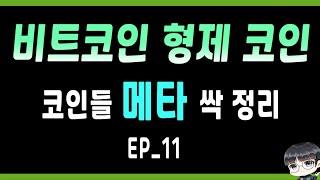 코인의 메타가 알고 싶다 : EP_ 11 비트코인 형제 메타 /비트코인 형제 코인 종류 / 비트코인캐시  /  비트코인 SV  /  비트코인 골드  /  이캐시  /