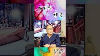 부처의 권능  #shorts #깨달음 #선공부 #마음공부