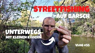 Damit habe ich nicht gerechnet | Streetfishing mit leichter Rute | Zielfisch Barsch | Vlog #55