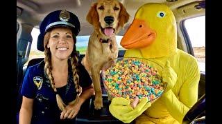 Rubber ducky Surprises Police With Car Ride Chase!