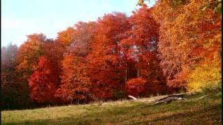 The German Odenwald (Part 1)