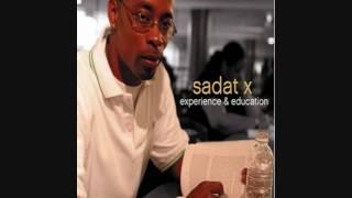 Sadat X - Experience (Why Don't You?)