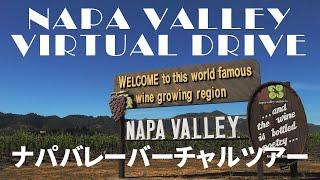 【ロードトリップ】 カリフォルニアワインの産地ナパバレーを巡ってみたらどんな景色？　Road Trip to Napa Wine Country