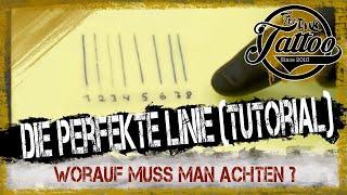 Perfekte Linien: Expertentipps und Tricks (Tutorial)