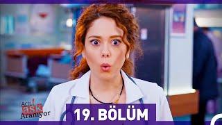 Acil Aşk Aranıyor 19. Bölüm (HD)