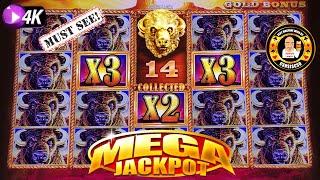MUST SEE MASSIVE JACKPOT on Buffalo Gold Slot Machine