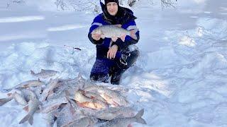 Я ВСЕГДА МЕЧТАЛ ПОПАСТЬ НА ТАКУЮ РЫБАЛКУ! РЫБАЛКА - МЕЧТА РЫБАКА. ЗИМНЯЯ РЫБАЛКА 2021.