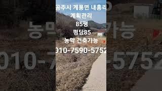 공주시 계룡면 내흥리 계획관리 #세종시전원주택지 #공주시토지 #주말농장