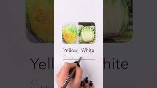 Pick the perfect watermelon 
