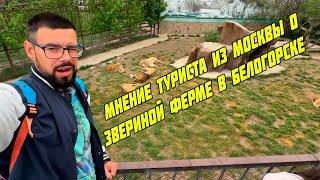 Мнение туриста из Москвы о парке львов Тайган - обзор, 16 мая