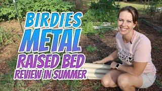 Birdies Metal Bed Review