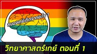 วิทยาศาสตร์เกย์ ตอนที่ 1 : Fraternal birth order effect และสมองของเกย์