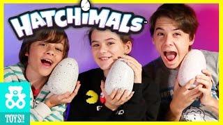 NEW HATCHIMALS MAGICAL SURPRISE EGG OPENING CHALLENGE! Kids Toy Review! |  KITTIESMAMA