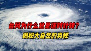 「科普一下」台风为什么总是逆时针转？揭秘大自然的奥秘