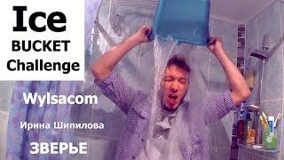 Ice Bucket Challenge ALS / ЗВЕРЬЕ / Ирина Шипилова / Wylsacom  [CAMvsMAN]