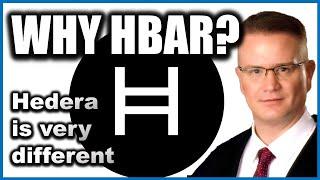 What's Behind the Explosive Growth of Hedera HBAR in 2024?