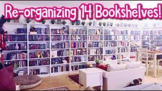 RE-ORGANIZING 14 BOOKSHELVES! (My New Apartment)