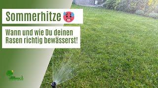 Sommerhitze  | Effektive Rasenbewässerung im Sommer | Beste Bewässerungszeit um Wasser zu sparen