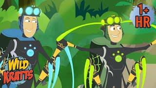 Secrets of the Spider's Web ️️ | FULL EPISODES | Wild Kratts | 9 Story Kids