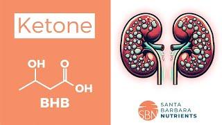 Optimal Ketone Levels: BHB's Role in Kidney Health