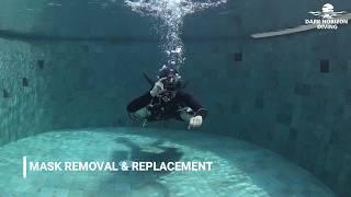 Sidemount Skills 2 - Basic Regulator and Mask Skills - Dark Horizon Diving