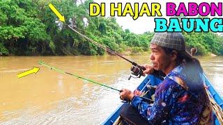 Kualahan!! Mancing BAUNG di sungai arus deras isinya babon