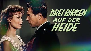 Drei Birken auf der Heide (HEIMATFILM KLASSIKER, ganzer film deutsch, spielfilme komplett, drama)