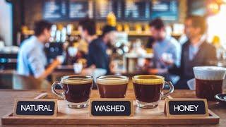 Methods of Processing Coffee: Natural, Washed & Honey Explained