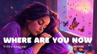 Where Are You Now - VER 01 | NEIT (Official Music Video)