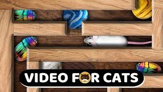 CAT GAMES - Maze. Video for Cats - Mice, Bugs, Strings, Marbles | CAT TV | 1 Hour.