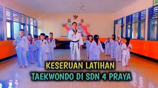 Latihan Taekwondo Untuk Pemula