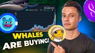 MEME Coin Whales Are Buying MILLIONS $$$ Of These MemeCoins! $Turbo $Brett $Dog