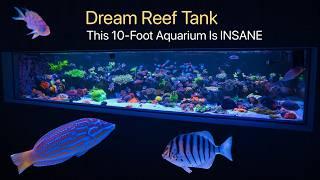 The Most Over The Top Aquarium I've Ever Seen