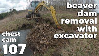 Beaver Dam Removal With Excavator No.107 - Chest Cam