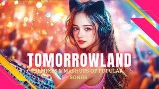 TOMORROWLAND 2024 BEST SONGS  EDM Best Music Festival Remix 2024  Feel-Good Festival Vibe