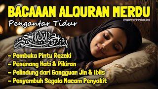 Al Quran Merdu Pengantar Tidur Surah Al Mulk, Ar Rahman, Al Waqiah, Penenang Hati & Pikiran