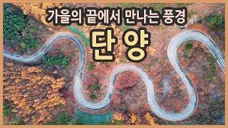 [랜선여행] 가을의 끝에 만나는 단양 여행 & 맛집 / 가을여행, 국내여행지추천, 이끼터널, 남한강갈대숲, 보발재, 단양강 잔도, 향미식당, 송이마을