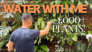 Deeply Satisfying and Educational 🪴 Plant Watering Episode | Watering Techniques Revealed!