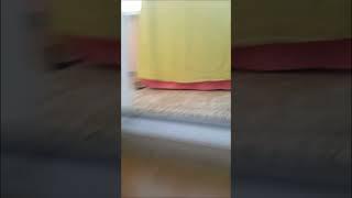 А хто в нас тут?