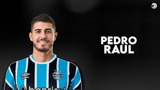 Pedro Raul ► Bem Vindo ao Grêmio? ● Skills & Goals 2024 | HD