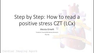 Step by Step: How to read a positive stress CZT (LCx)