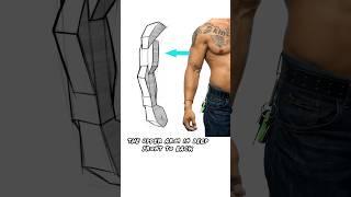 How to Simplify Arm Anatomy