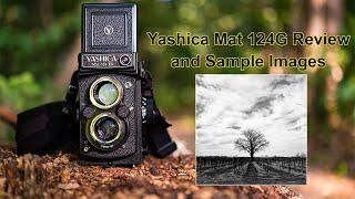 Yashica Mat 124G Review and Sample Images