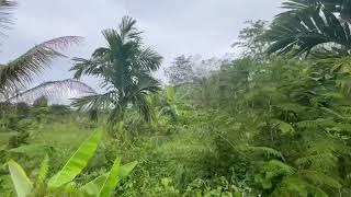 4 Rai of Land for Sale in Thung Maphrao, Thai Mueang, Phangnga