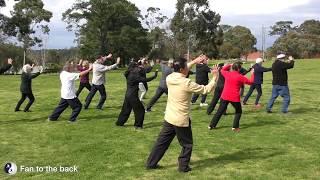 Yang Tai Chi Levels 3 & 4 Back View