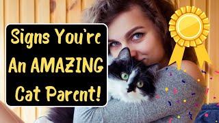 How Do I Know If I'm A Good Cat Mom (Or Dad)?
