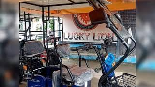 LUCKY LION E-BIKE FEATURES 