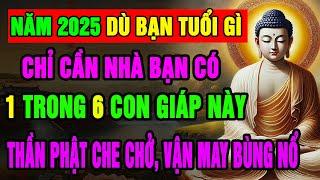 Năm 2025 Nhà Nào Có 1 Trong 6 Con Giáp Này Được Hỏa Long Hộ Mệnh, Thần Phật Che Chở, Vận May Bùng Nổ