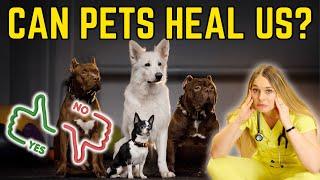 The 5 Ways Pets Heal Humans! | Veterinarian Explains