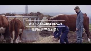 百靈佳殷格翰｜動物事業